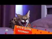 Кто в доме хозяин? (14 выпуск) (Эфир 21.04.18)