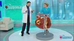 Здоровье с Еленой Малышевой (Эфир 29.04.18)