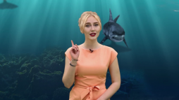Агенты 003 (112 выпуск) (Эфир 18.08.18)
