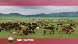 Орел и решка. Перезагрузка. Таджикистан (14 сезон, 42 выпуск) (Эфир 20.08.18)