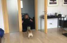 Видели видео (29 выпуск) (Эфир 20.08.18)