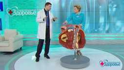Здоровье с Еленой Малышевой (Эфир 26.08.18)