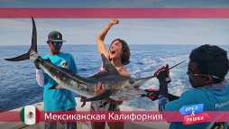 Орел и решка. По морям. Мексиканская Калифорния (17 сезон, 43 выпуск) (Эфир 10.12.18)