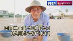 Орел и решка. Морской сезон. Мексиканская Калифорния (Эфир 16.12.18)