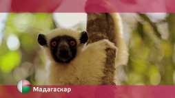 Орел и решка. Перезагрузка. Мадагаскар (14 сезон, 57 выпуск) (Эфир 17.12.18)