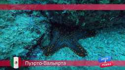 Орел и решка. По морям. Пуэрто-Вальярта. Мексика (17 сезон, 44 выпуск) (Эфир 17.12.18)