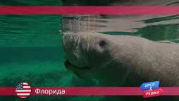 Орел и решка. По морям. Флорида. США (17 сезон, 45 выпуск) (Эфир 24.12.18)