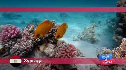 Орел и решка. Хургада. Египет (17 сезон, 1 выпуск) (Эфир 12.03.18)