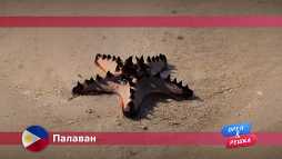 Орел и решка. Палаван. Филипины (17 сезон, 2 выпуск) (Эфир 19.03.18)
