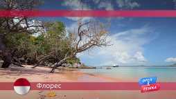 Орел и решка. Флорес. Индонезия (17 сезон, 3 выпуск) (Эфир 26.03.18)