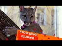 Кто в доме хозяин? (16 выпуск) (Эфир 05.05.18)