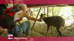 Орел и решка. Америка. Коста-Рика (16 сезон, 14 выпуск) (Эфир 07.05.18)