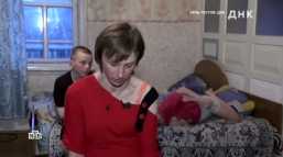 ДНК (26 выпуск) (Эфир 18.05.18)