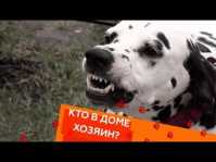 Кто в доме хозяин? (18 выпуск) (Эфир 19.05.18)