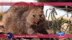 Орел и решка. Западная Австралия (17 сезон, 11 выпуск) (Эфир 21.05.18)