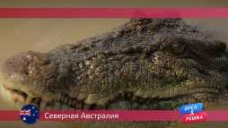 Орел и решка. Дарвин. Австралия (17 сезон, 12 выпуск) (Эфир 28.05.18)