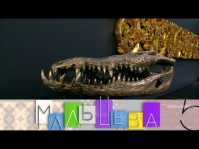 Мальцева. Декор домашнего кабинета (17 выпуск) (Эфир 18.10.18)