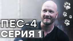 ПЕС (4 сезон, 1 серия) (Эфир 22.10.18)