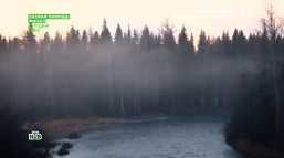 ДНК (106 выпуск) (Эфир 26.10.18)