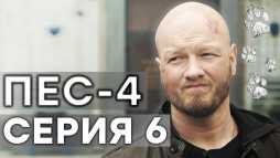 ПЕС (4 сезон, 6 серия) (Эфир 30.10.18)