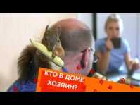 Кто в доме хозяин? (25 выпуск) (Эфир 15.09.18)