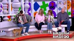 Видели видео (49 выпуск) (Эфир 18.08.19)