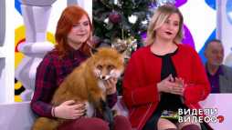 Видели видео (41 выпуск) (Эфир 05.01.19)