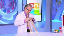 Жить здорово (1651 выпуск) (Эфир 20.02.20)