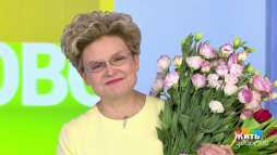 Жить здорово (1661 выпуск) (Эфир 06.03.20)