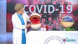 Здоровье с Еленой Малышевой (Эфир 03.05.20)