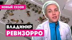 Ревизорро. Владимир (8 сезон, 12 выпуск) (Эфир 17.05.20)