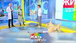 Жить здорово (1743 выпуск) (Эфир 22.09.20)