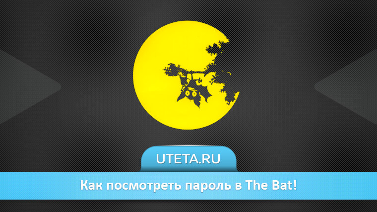 Как посмотреть пароль в The Bat!